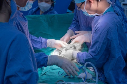 Đau bụng dai dẳng hơn 1 năm vì u mạc treo non gây tắc ruột