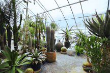 Cặp vợ chồng "bỏ phố về quê", dành 6 năm làm nhà vườn 1.500m2 đẹp như tranh