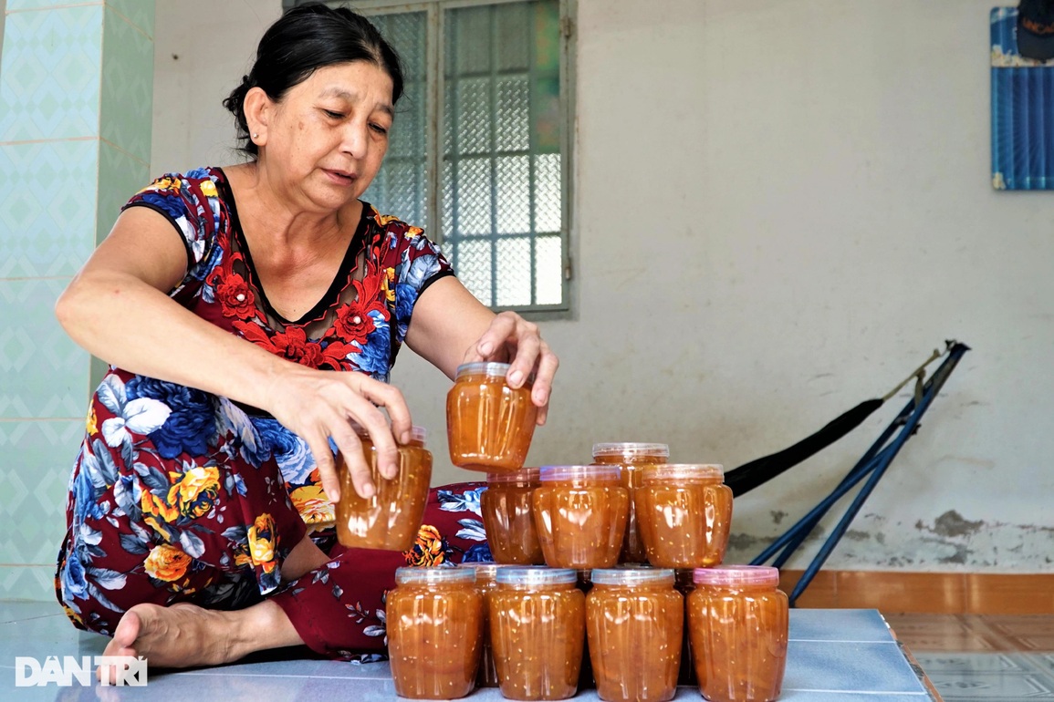 Trồng xoài rừng làm chơi ăn thiệt - 7 Trồng xoài rừng làm chơi ăn thiệt - 7