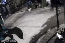 Người phụ nữ 59 tuổi bị giật túi xách ngã úp mặt xuống đường ở TPHCM