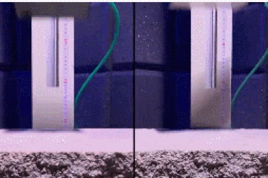 iPhone 11 Pro Max hơn, thua gì với Galaxy Note10, Mate 30 Pro?