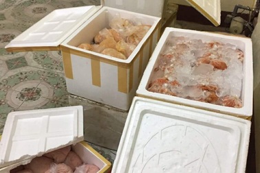 Bắt xe khách chở 250kg nội tạng động vật bốc mùi, không rõ nguồn gốc