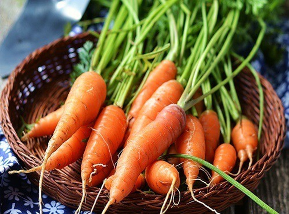Ăn nhiều cà rốt giúp giảm nguy cơ mắc ung thư - 1 Ăn nhiều cà rốt giúp giảm nguy cơ mắc ung thư - 1