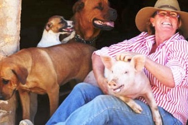 Chú lợn có biểu hiện giống chó