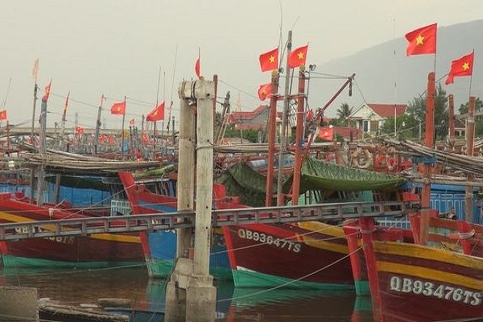 Doanh nghiệp mất tiền tỷ vì không thể xuất khẩu hải sản sang Trung Quốc - 5 Doanh nghiệp mất tiền tỷ vì không thể xuất khẩu hải sản sang Trung Quốc - 5