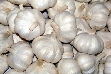 Tỏi Trung Quốc tràn chợ Việt: Những cảnh báo từng khiến quốc tế lo sợ
