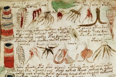 Giải mã những chữ đầu tiên trong cuốn sách bí ẩn nhất thế giới