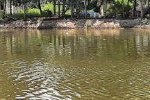 Bắt khẩn cấp người vợ giết chồng rồi giấu thi thể dưới ao