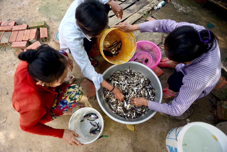 Nông dân miền Tây chật vật mưu sinh mùa nước lũ - 12 Nông dân miền Tây chật vật mưu sinh mùa nước lũ - 12