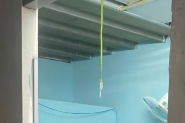 Phát hiện bạn tử vong khi đến rủ đi uống cà phê