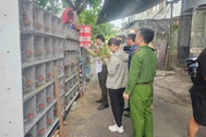Cục C05 phát động bảo vệ môi trường, đa dạng sinh học tại Cát Hải