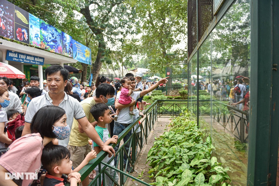 Choáng ngợp cảnh đông nghẹt thở trong công viên Thủ Lệ dịp nghỉ lễ - 9 Choáng ngợp cảnh đông nghẹt thở trong công viên Thủ Lệ dịp nghỉ lễ - 9