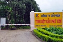 Phú Yên: Xử phạt một doanh nghiệp gần 3,4 tỷ đồng vì xả thải gây ô nhiễm