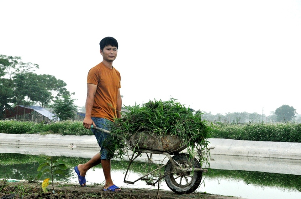 8X bỏ nghề điều dưỡng về quê làm bạn với ốc, cá, kiếm nửa tỷ đồng mỗi năm - 1 8X bỏ nghề điều dưỡng về quê làm bạn với ốc, cá, kiếm nửa tỷ đồng mỗi năm - 1