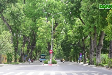 Những con phố "mát rượi" giữa ngày nắng nóng "đổ lửa" ở Hà Nội