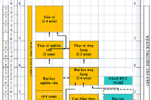 Hãy điều chỉnh lại kết cấu các dự luật trước khi sửa chữa khiếm khuyết của Luật Giáo dục