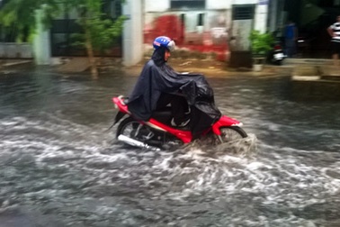 TP HCM: Mưa lớn gây ngập, lốc xoáy “hạ gục” cây xanh, mái tôn