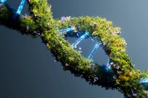 DNA tồn tại được bao nhiêu triệu năm?