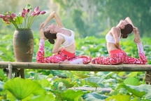 Tạo dáng yoga đẹp mắt bên hồ sen của cô gái Hà thành