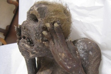 Giải mã bí ẩn về xác ướp "mặt người mình cá" có niên đại 300 năm tuổi
