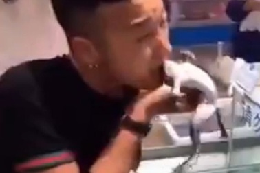 Rợn tóc gáy với cảnh chàng trai ăn ếch sống