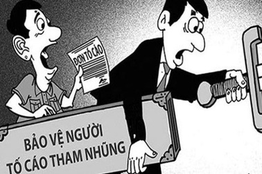 Quyền tố cáo của công dân được quy định như thế nào?