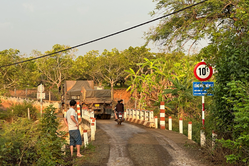 Huyện phản hồi vụ xã cho xe quá tải qua cầu dân sinh ở Đắk Lắk - 1 Huyện phản hồi vụ xã cho xe quá tải qua cầu dân sinh ở Đắk Lắk - 1