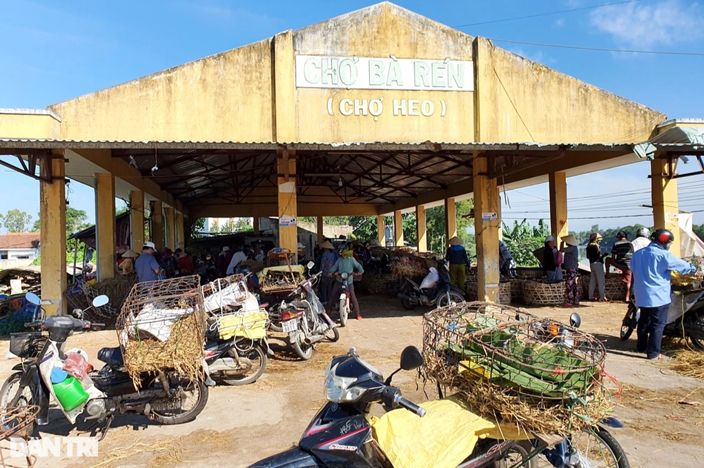 Phiên chợ đặc biệt, có nghề bồng heo độc nhất vô nhị - 1 Phiên chợ đặc biệt, có nghề bồng heo độc nhất vô nhị - 1