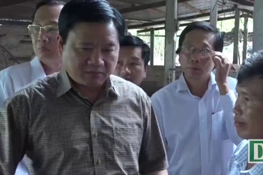 Bí thư Thăng vào thăm các gia đình nuôi bò và cá giống tại huyện Củ Chi