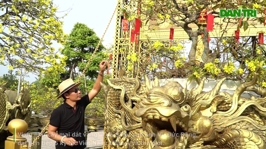 Chiêm ngưỡng hơn 200 cây mai giá bạc tỷ ở Đồng Tháp