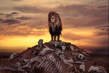 Choáng với bức ảnh sư tử đứng trên... gò xương trắng