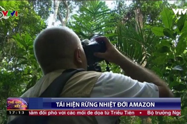 Tái hiện rừng nhiệt đới Amazon với 30.000 tấm ảnh