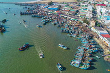 Chìm tàu cá giữa biển, cứu 11 ngư dân, 1 người "mất tích"