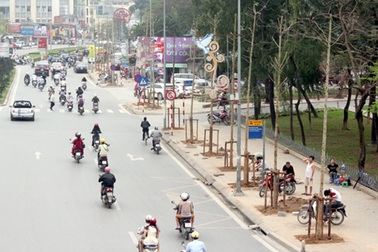 Hà Nội khẳng định cây trồng trên đường Nguyễn Chí Thanh là vàng tâm (!?)