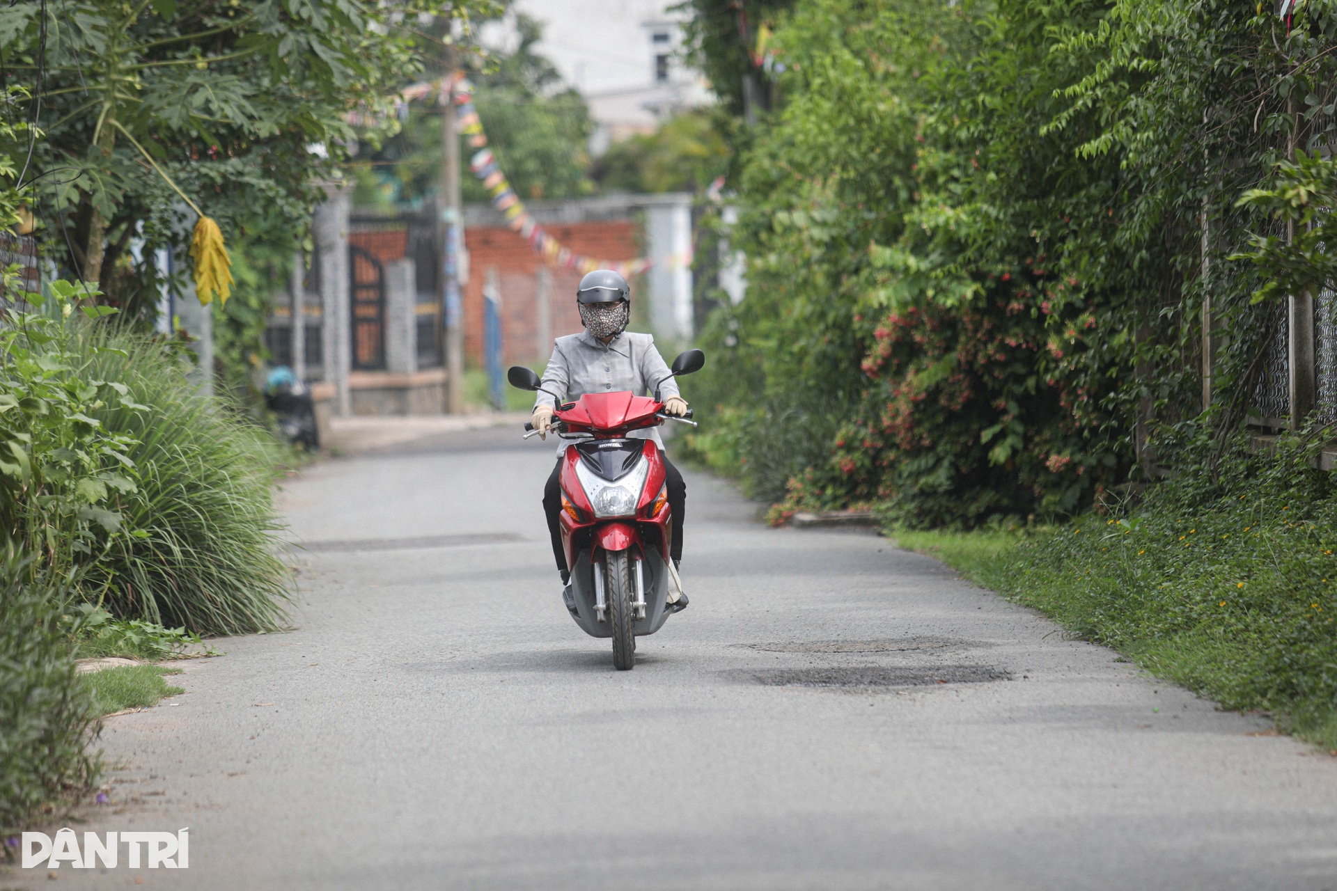 Cù lao Phố  hòn ngọc xanh giữa dòng Đồng Nai - 3