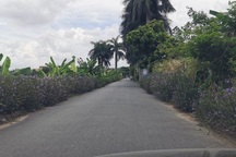 Điều tra vụ cán bộ quản lý đô thị phường bị chém trọng thương