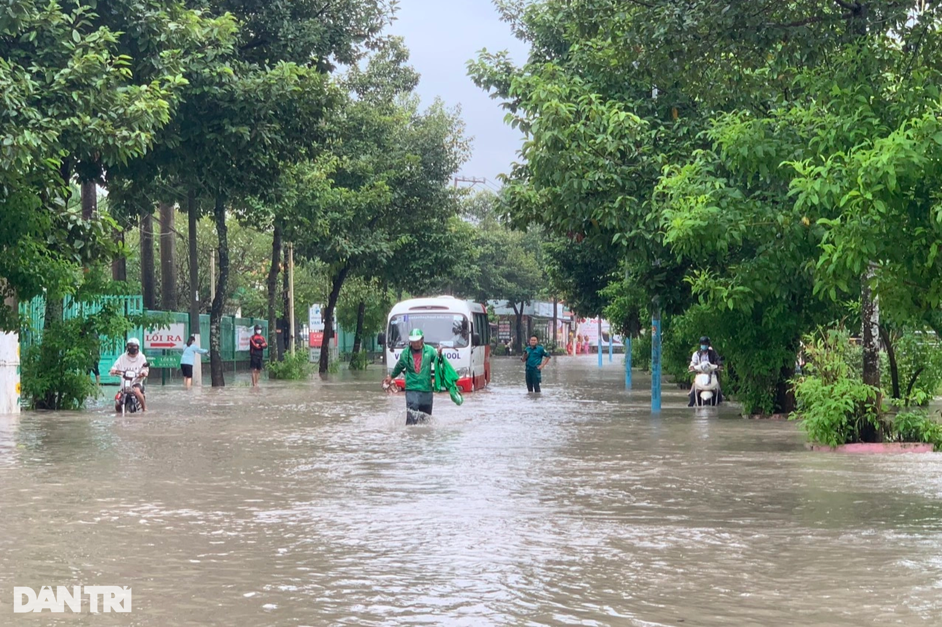 Đường biến thành sông, người dân tranh thủ thả lưới bắt cá - 7 Đường biến thành sông, người dân tranh thủ thả lưới bắt cá - 7