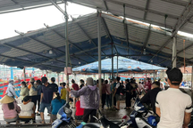 Thuyền câu mực bị sóng đánh chìm, 2 ngư dân mất tích