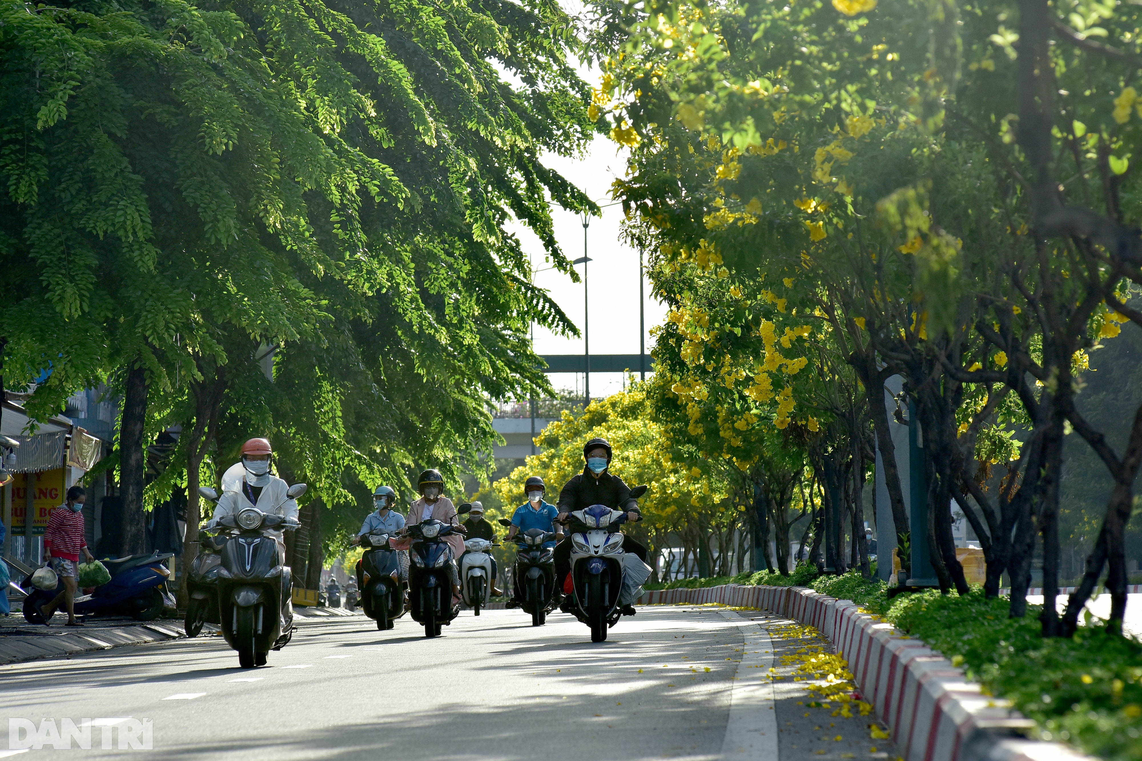 Đường phố Sài Gòn ùn ùn xe cộ, nhiều người bị xử phạt ra ngoài không lý do - 12 Đường phố Sài Gòn ùn ùn xe cộ, nhiều người bị xử phạt ra ngoài không lý do - 12