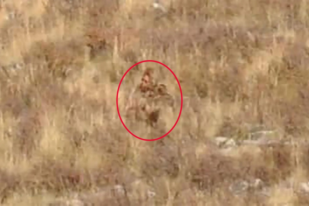 Vợ chồng Mỹ tuyên bố phát hiện người khổng lồ chân to trên sườn núi - 1 Vợ chồng Mỹ tuyên bố phát hiện người khổng lồ chân to trên sườn núi - 1