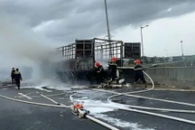 Tài xế lái xe tải đang bốc cháy vào làn dừng khẩn cấp