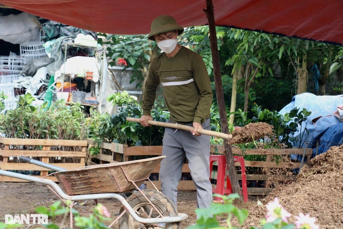 Các vườn cây cảnh chạy nước rút phục vụ dịp mua sắm sôi động nhất năm - 9 Các vườn cây cảnh chạy nước rút phục vụ dịp mua sắm sôi động nhất năm - 9