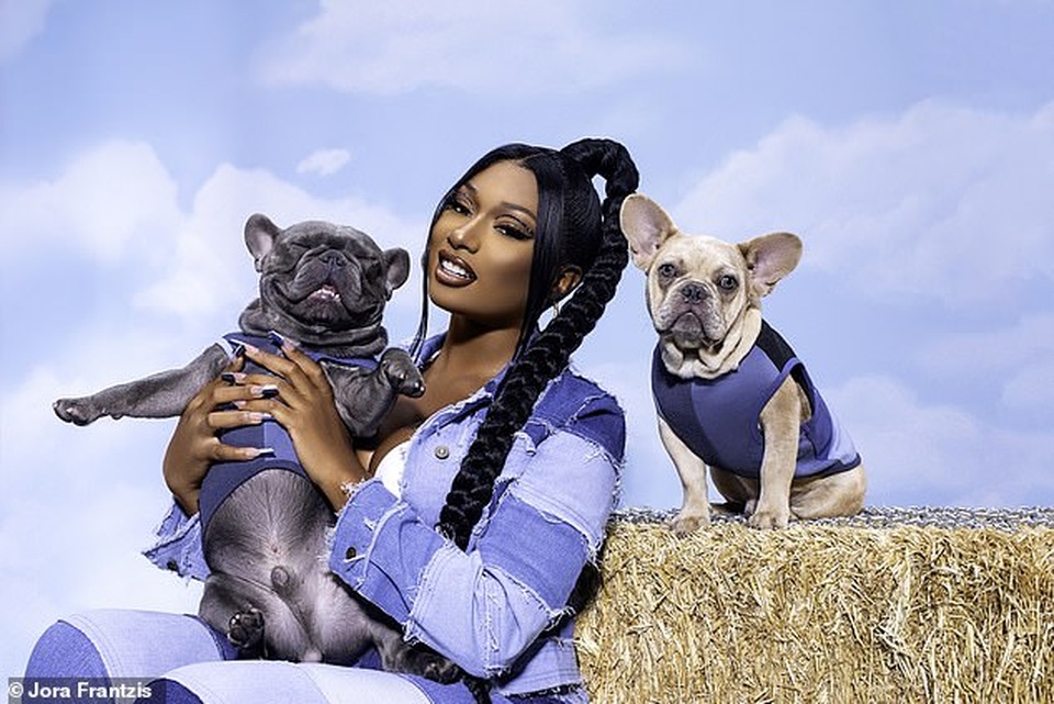 Hot girl Megan Thee Stallion đắt show quảng cáo - 3 Hot girl Megan Thee Stallion đắt show quảng cáo - 3