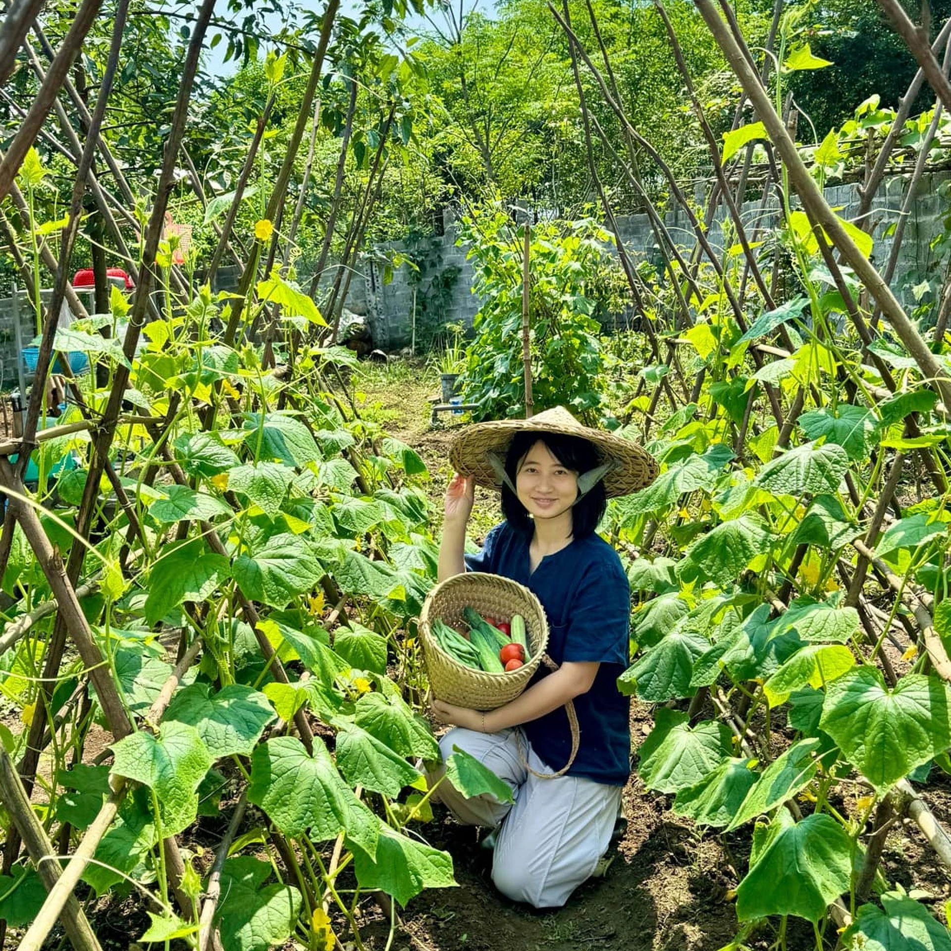 Sợ rau bẩn bụi mịn, vợ chồng ở Hà Nội mua 1.500m2 đất quê để nghỉ dưỡng - 13 Sợ rau bẩn bụi mịn, vợ chồng ở Hà Nội mua 1.500m2 đất quê để nghỉ dưỡng - 13