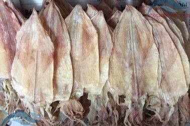 Nam thanh niên trộm 17kg khô mực bị truy nã đã ra đầu thú
