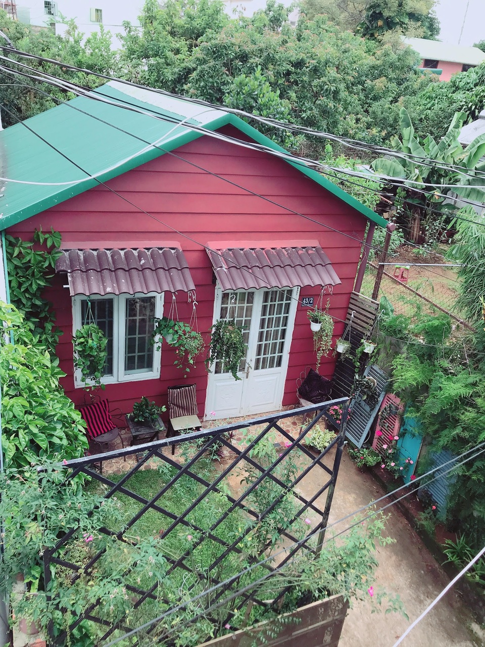 Đóng cửa chuỗi cửa hàng kinh doanh, cô gái ở Lâm Đồng về quê trồng hoa, đọc sách - 5 Đóng cửa chuỗi cửa hàng kinh doanh, cô gái ở Lâm Đồng về quê trồng hoa, đọc sách - 5