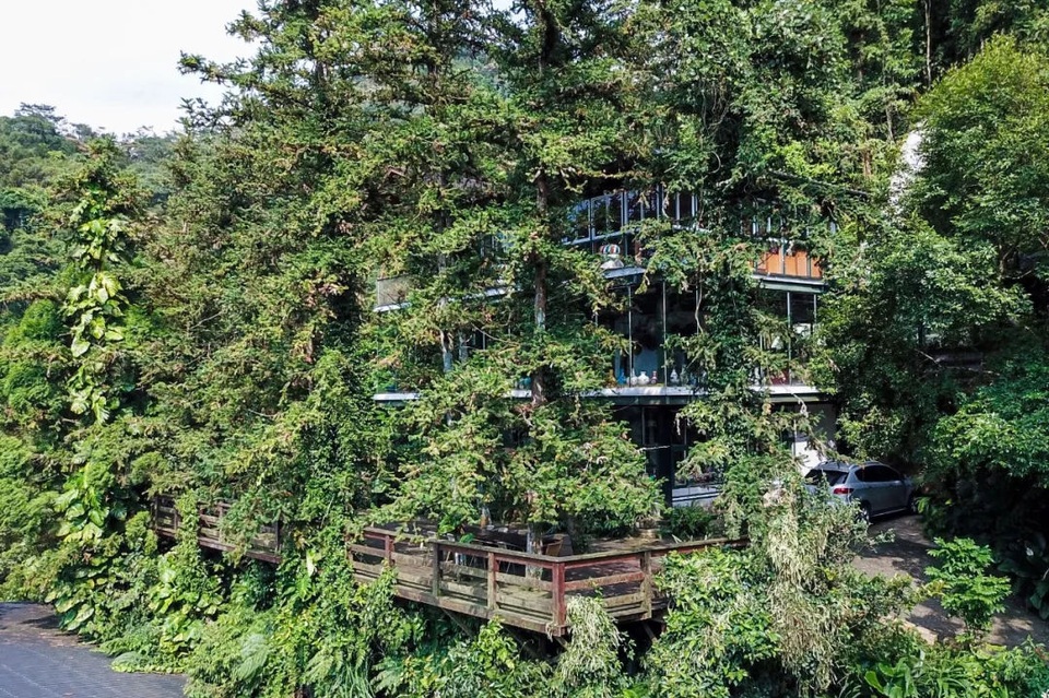 Người đàn ông mua quả đồi 12 nghìn m2 làm nhà để bảo vệ thiên nhiên - 3 Người đàn ông mua quả đồi 12 nghìn m2 làm nhà để bảo vệ thiên nhiên - 3