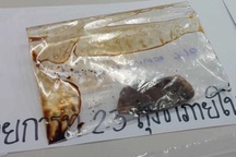 Pháp y Thái Lan họp báo về nguyên nhân tử vong của nhóm người Việt