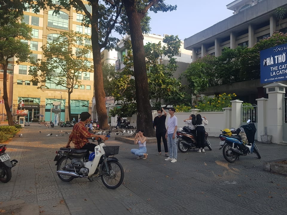 Ngắm hoa chò rơi.jpg Ngắm hoa chò rơi.jpg