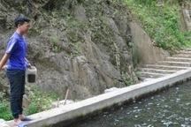 Bỏ phố lên "cổng trời" nuôi loài cá quý tộc, 9x có bạc tỷ/năm